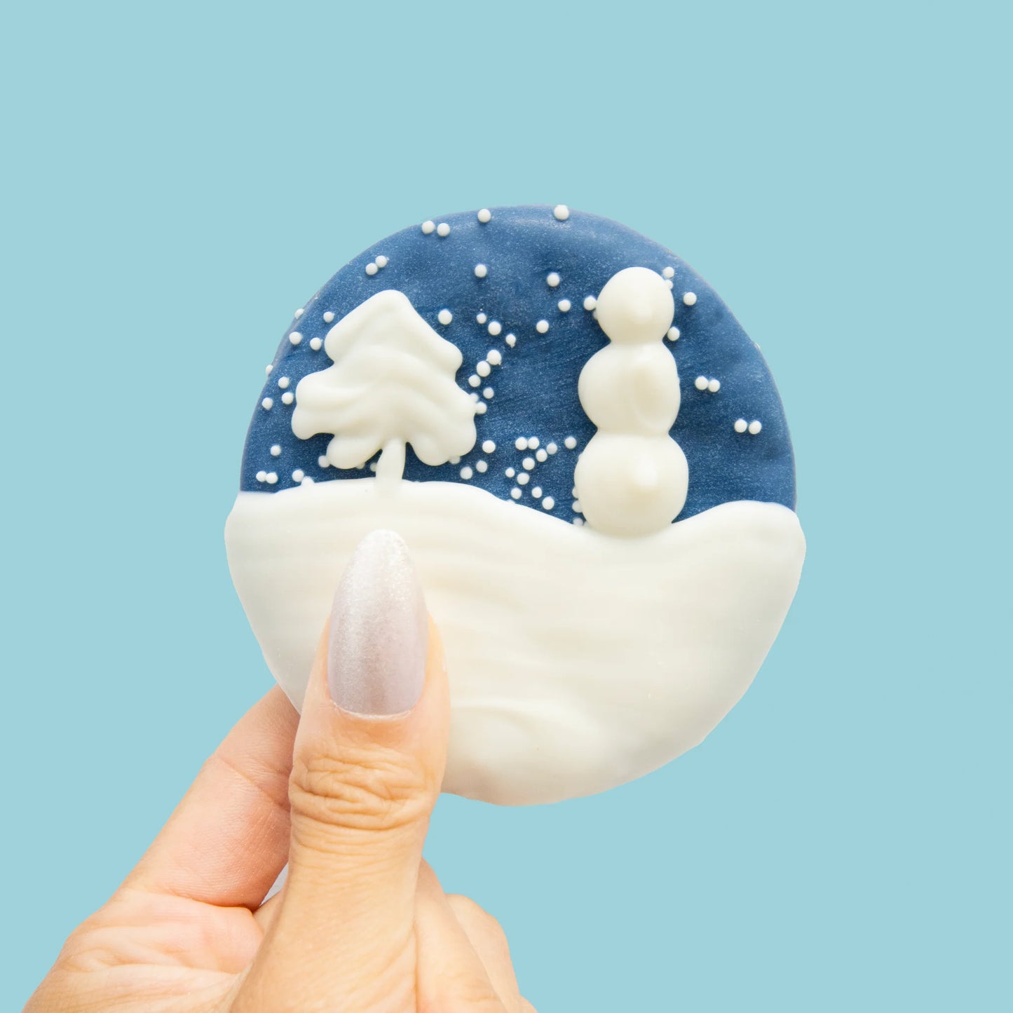 Bosco & Roxy's Winter Wonderland Round Cookie