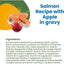 Almo Nature Complete Salmon With Apple - 70g - Canned Cat Food - Almo Nature - PetMax Canada