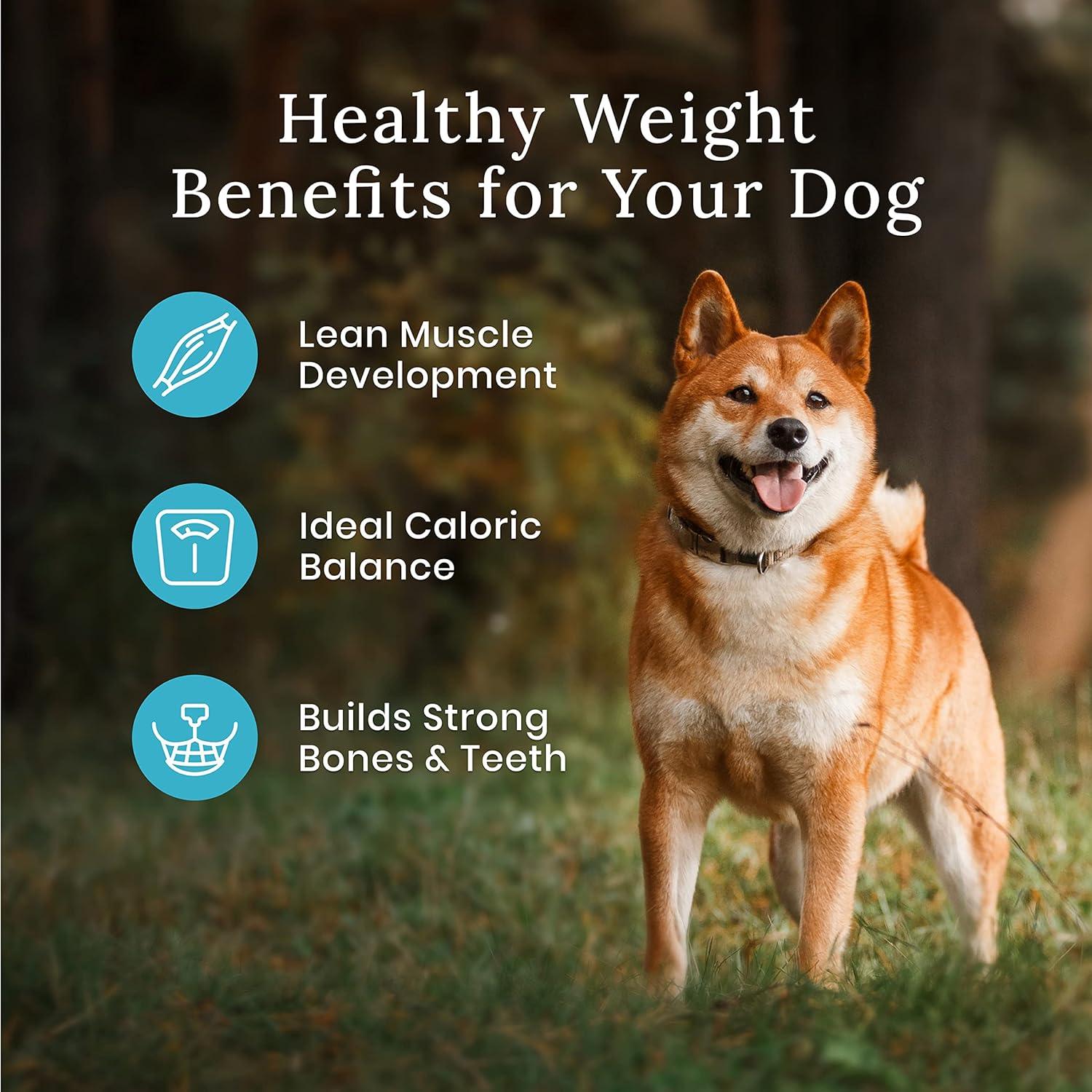 Blue buffalo wilderness healthy weight chicken dog food hotsell