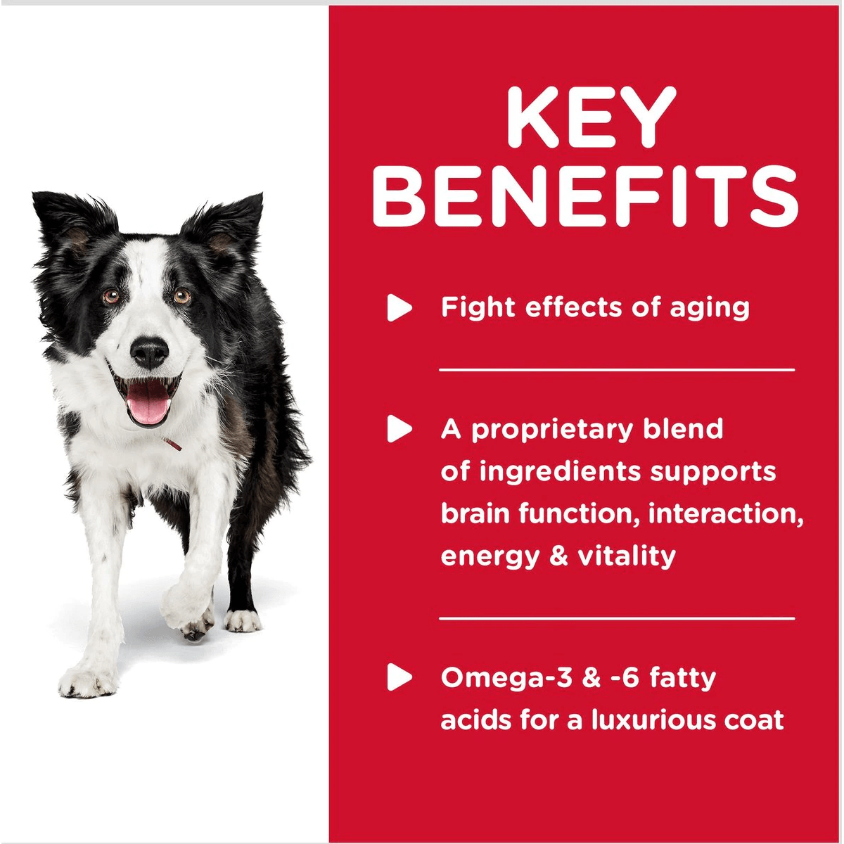 Hill's Science Diet Adult 7+ Senior Vitality Chicken & Vegetable Stew Canned Dog Food - 354g - Canned Dog Food - Hill's Science Diet - PetMax Canada