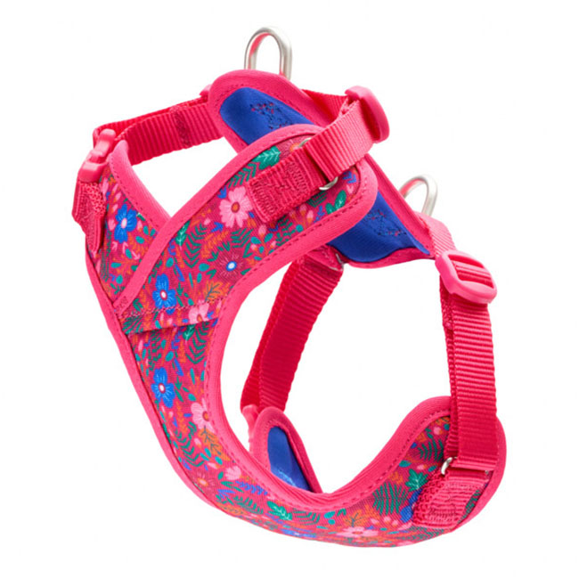 Rc Explorer Petite Harness Frida