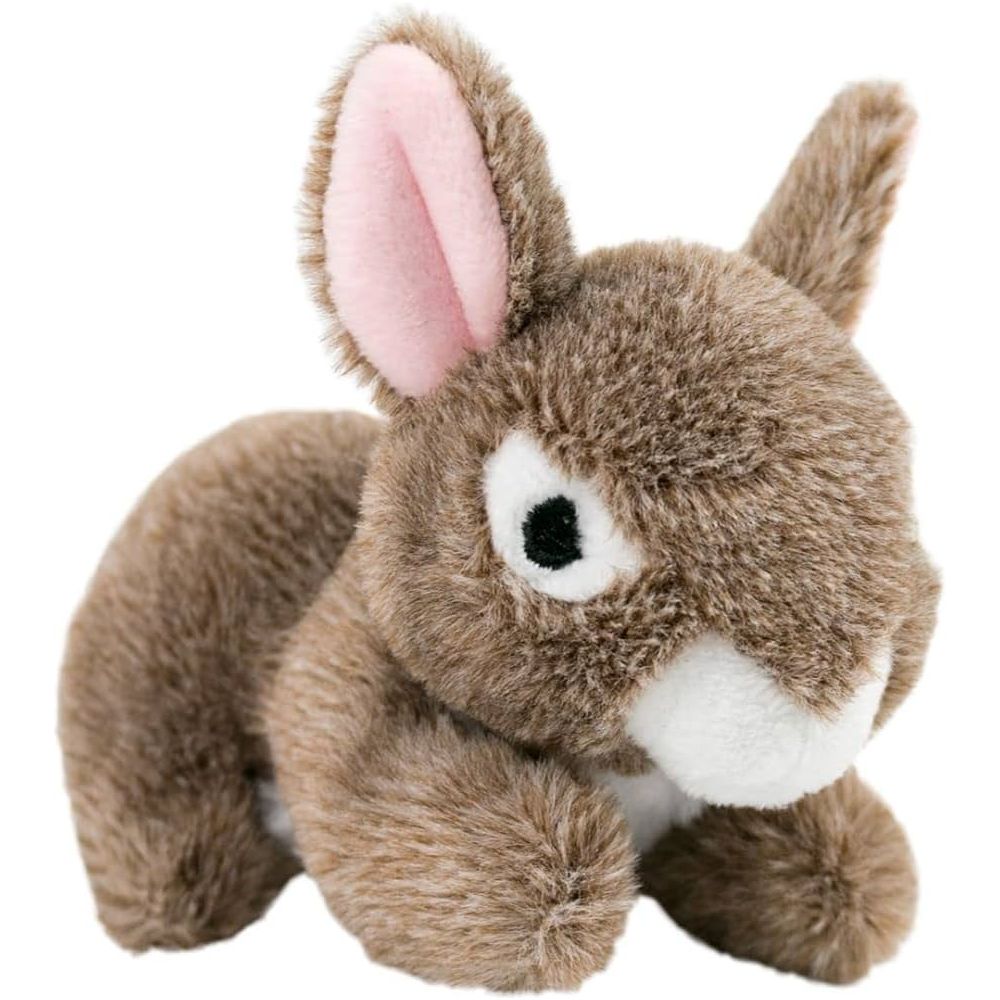 Tall Tails Plush Bunny Squeaker Toy