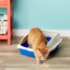 Vanness Cat Litter Pan & Rim