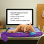 Kong Cats Comfort Keyboard Play Mat