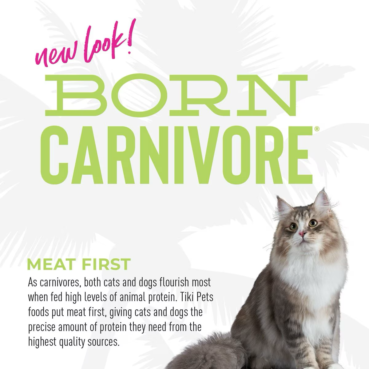 Tiki Cat Born Carnivore Indoor Trout & Menhaden Fish