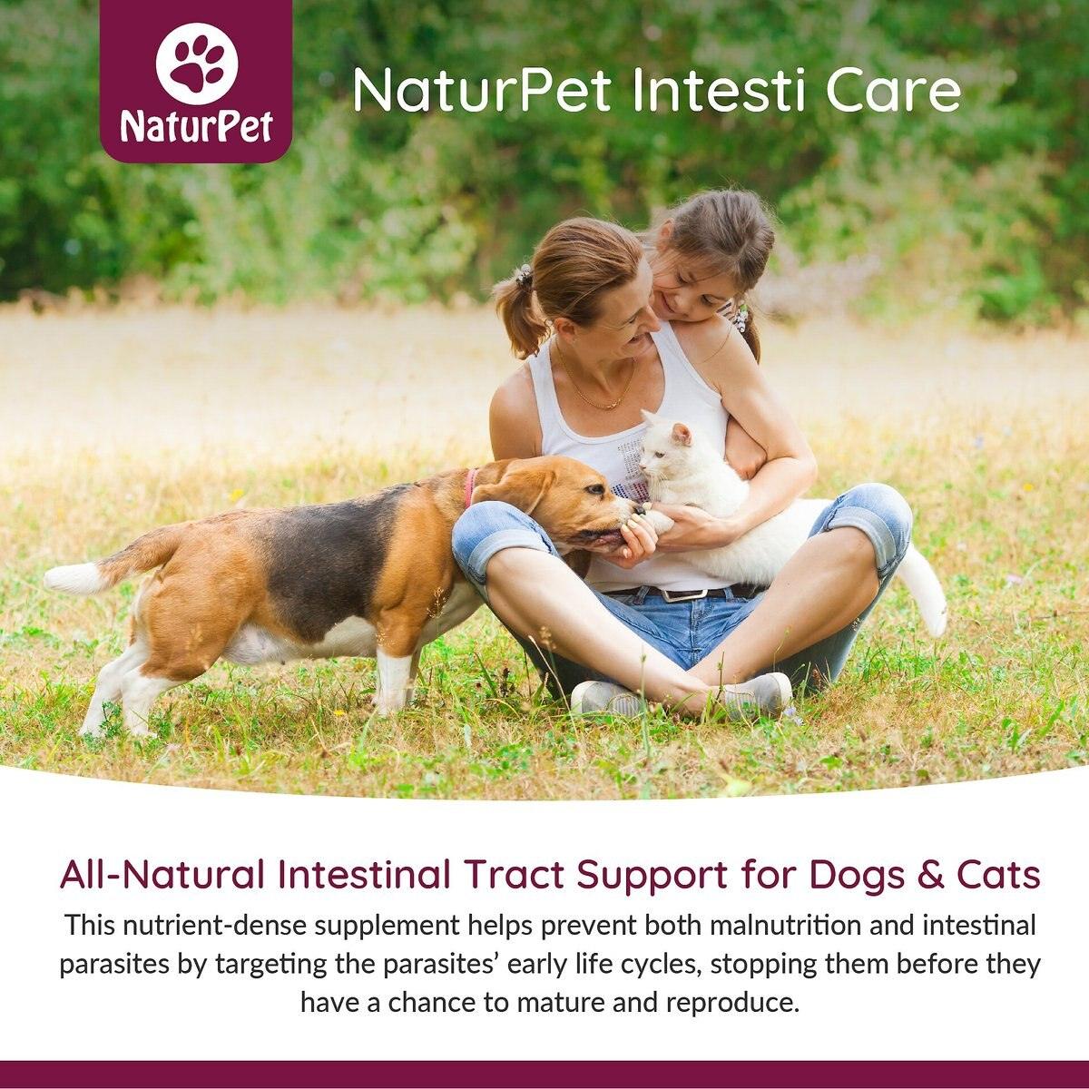 Naturpet Intesti Care Pet Supplement - 0 - Dog Health Care - Miscellaneous - PetMax Canada