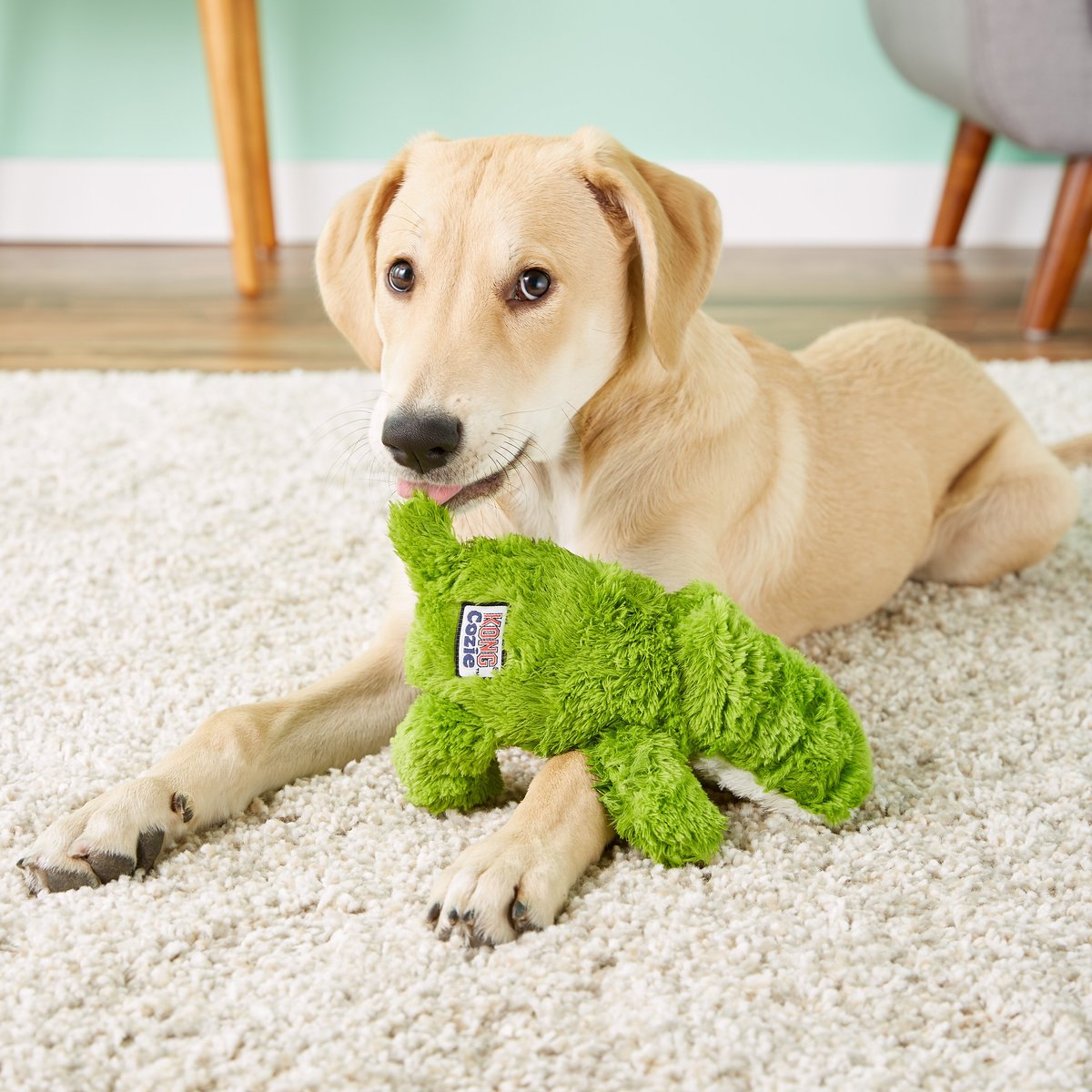 Jouet pour chien Kong Cozie Ali Alligator