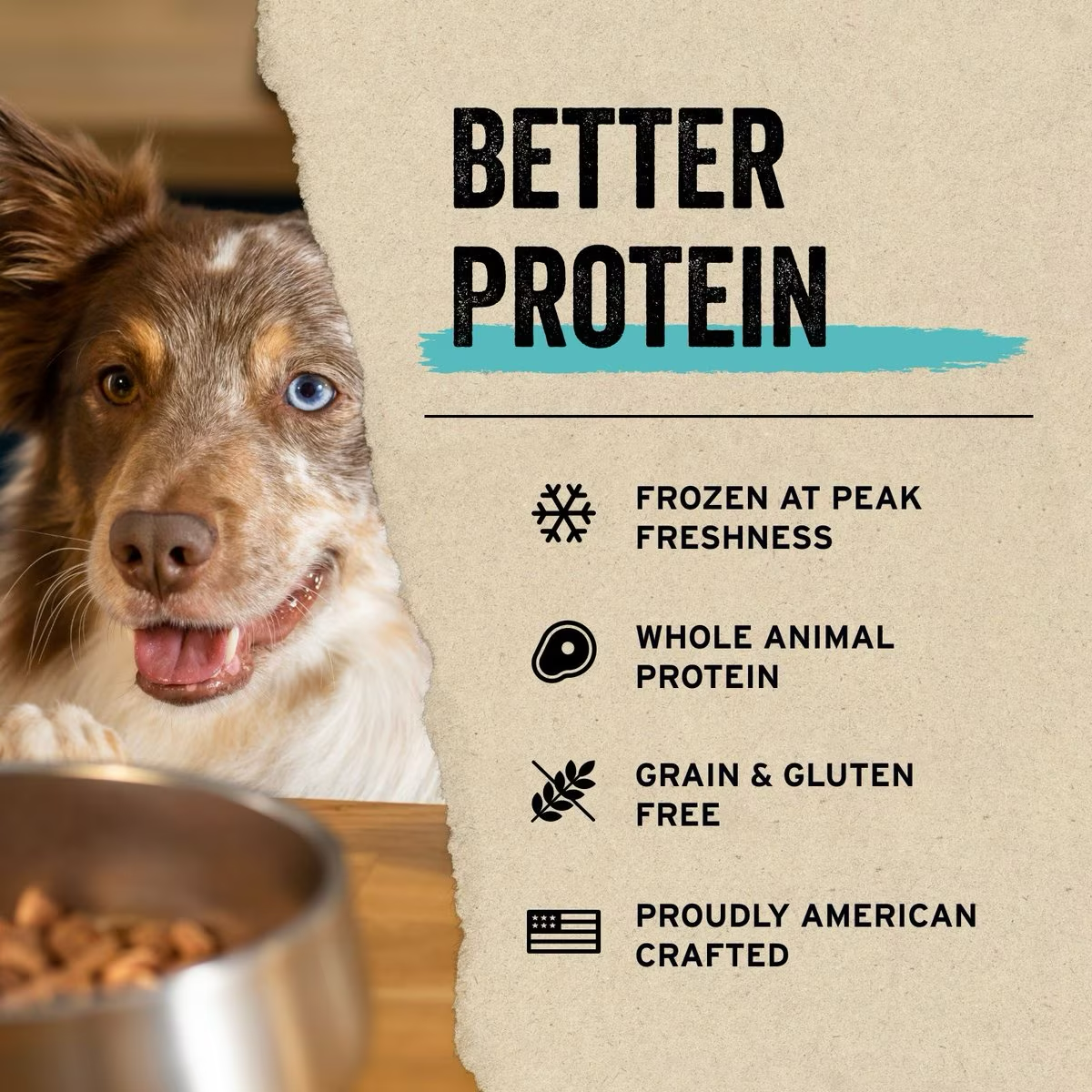 Vital Essentials Freeze Dried Treat Salmon Bites