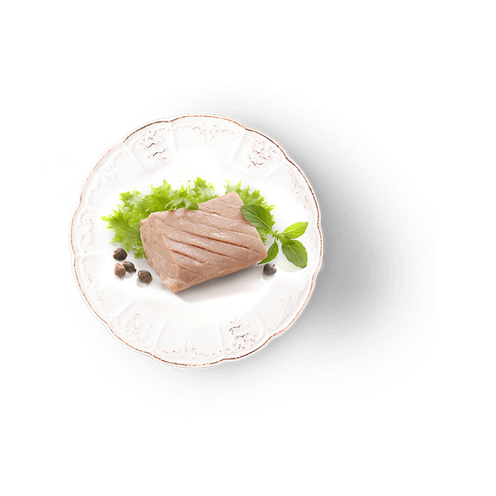 Oven Baked Fillet Tuna with Glucosamine & Chondroitin Dog Treat