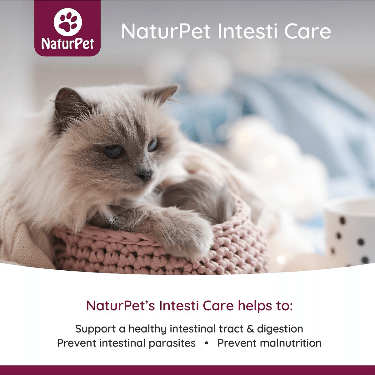 Naturpet Intesti Care Pet Supplement - 0 - Dog Health Care - Miscellaneous - PetMax Canada