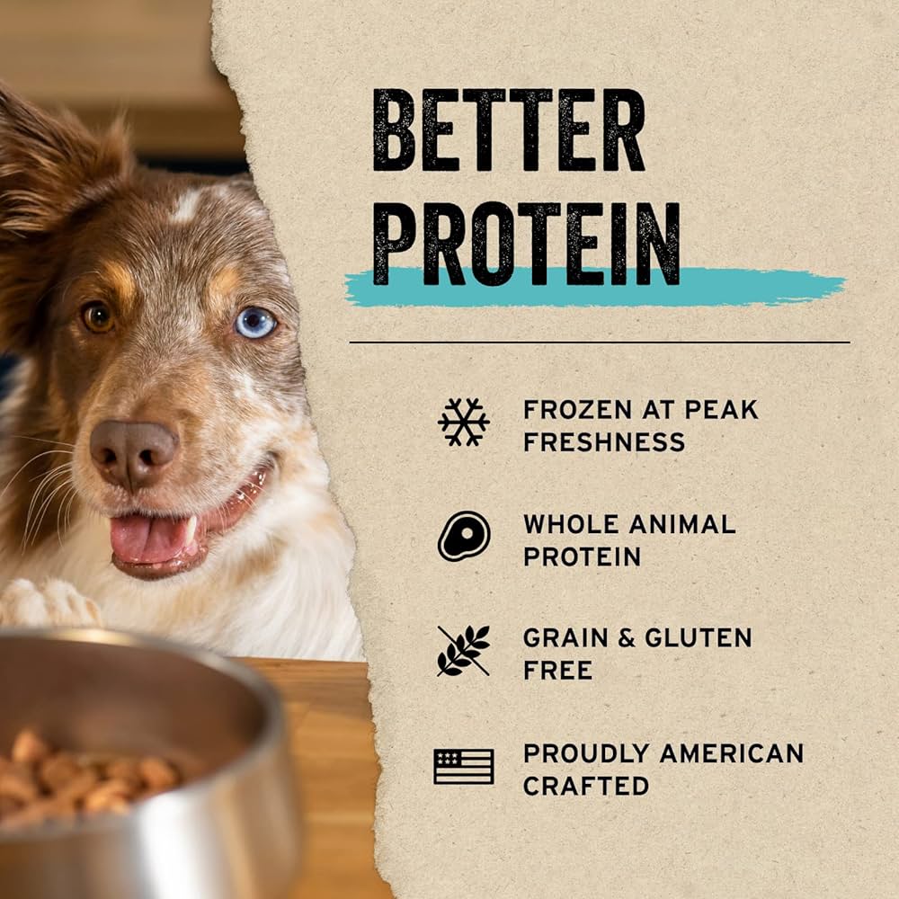 Vital Essentials Freeze Dried Treats Beef Bites