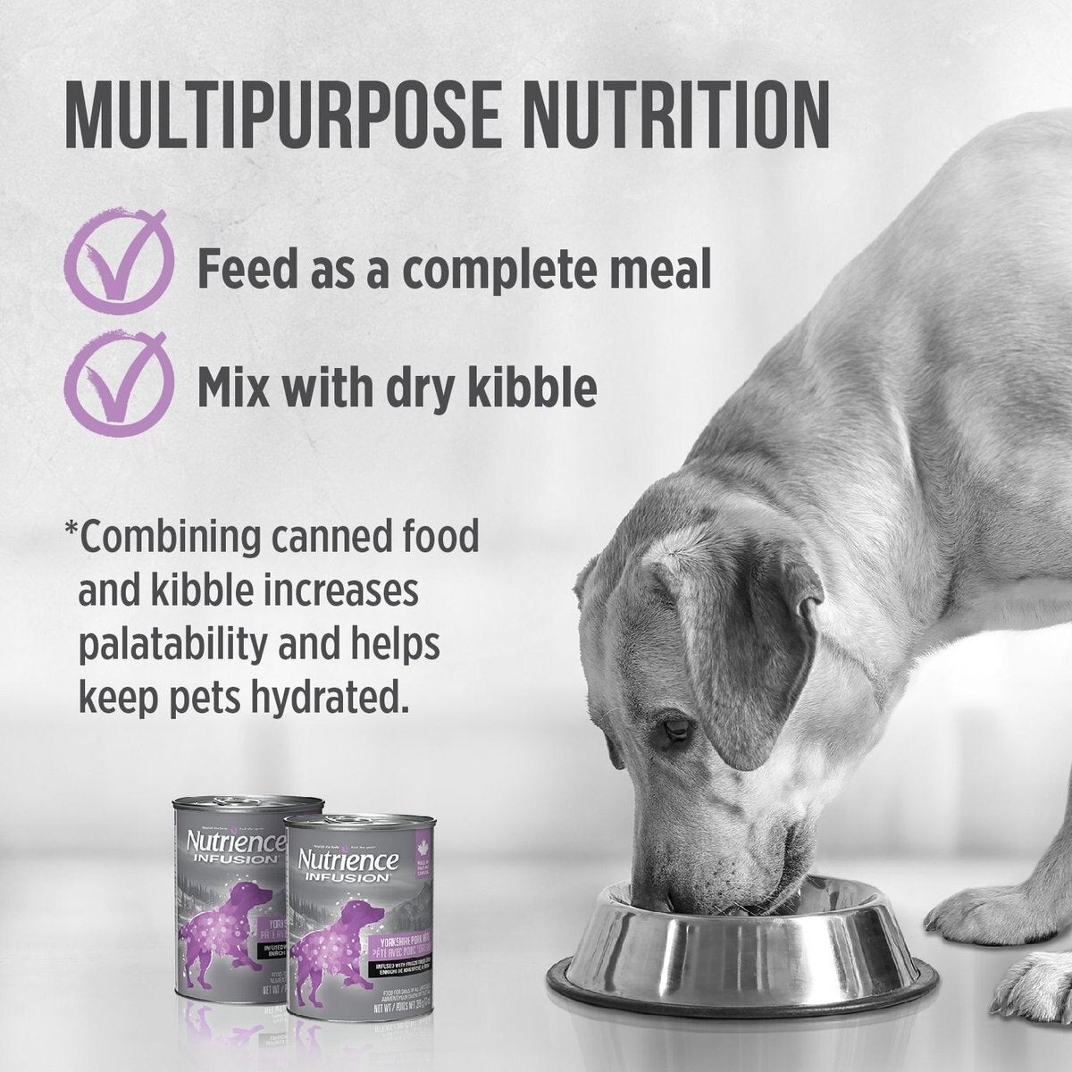 Infusion pour chien Nutrience Pâté de porc du Yorkshire