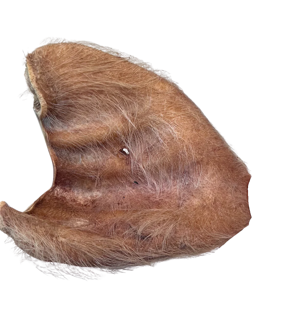 Momentum Freeze Dried Hairy Pig Ears