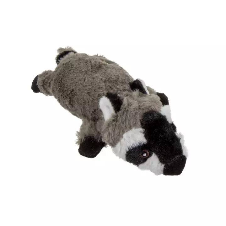 Go Dog! Flattie Raccoon