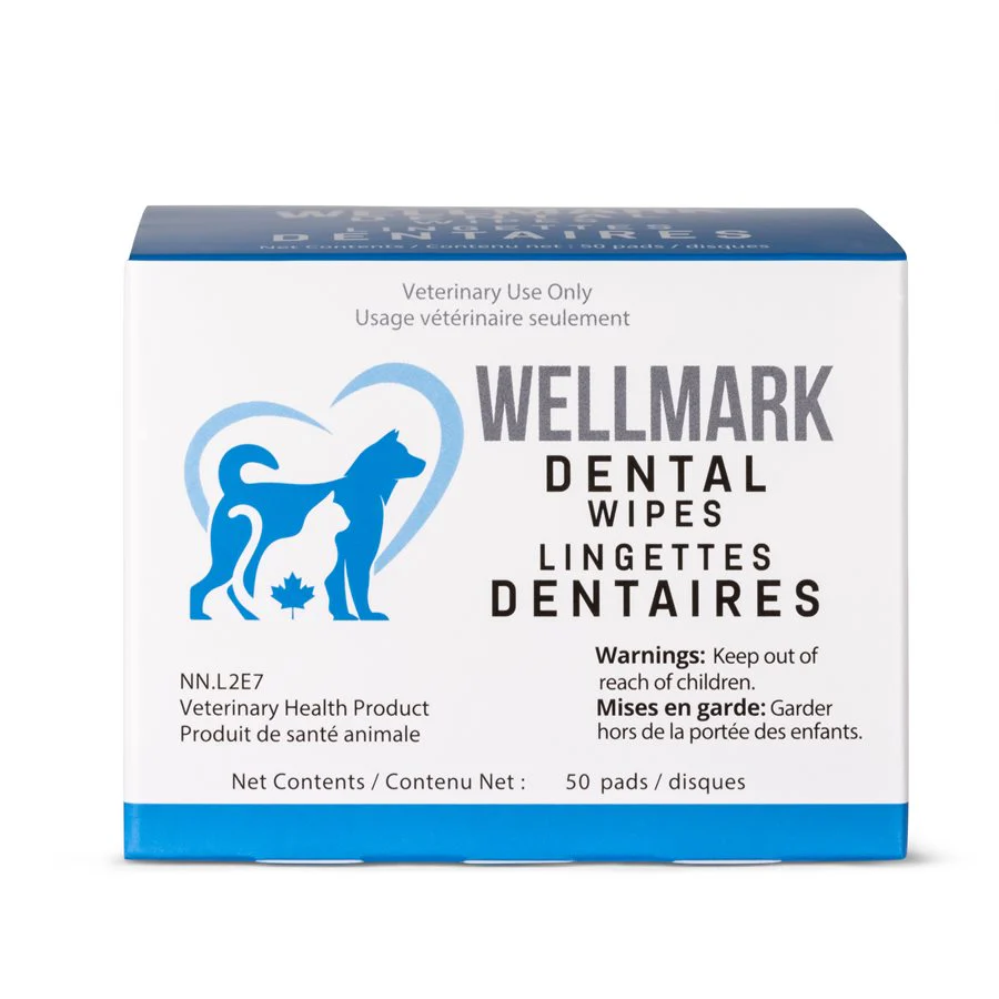 Wellmark Dental Wipes