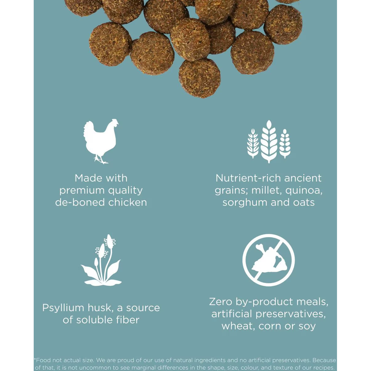 Go! Digestion + Gut Health Chicken Recipe with Ancient Grains for dogs