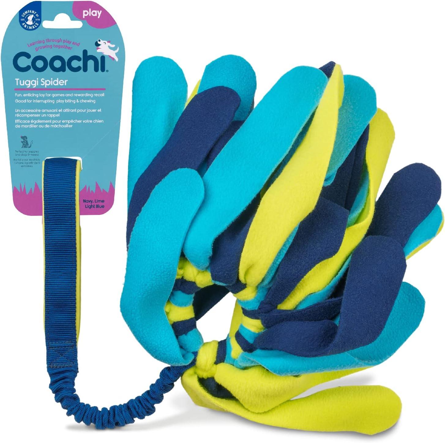 Coachi Tuggi Spider - Navy & Lime & Light Blue - Training Products - COACHI - PetMax Canada