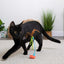 Instincts Cat Rowdy Rockerwand Toy with Feathers