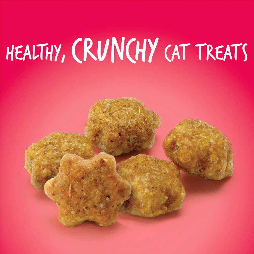 Fruitables Cat Treat Salmon & Cranberry