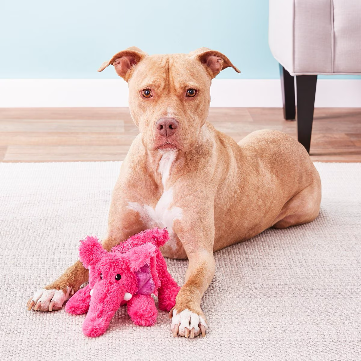 Jouet pour chien éléphant Kong Cozie Elmer