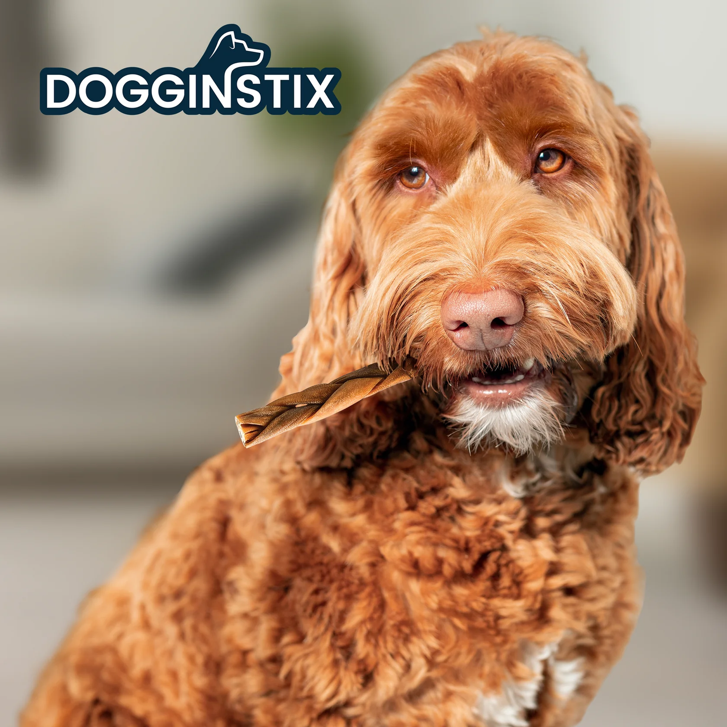 Dogginstix Braided Lamb Collagen