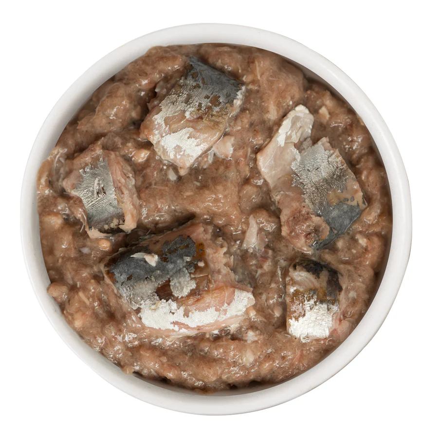 Weruva Wet Cat Food Kitty Gone Wild Salmon, Tuna, Sardine & Mackerel Pate with Shreds