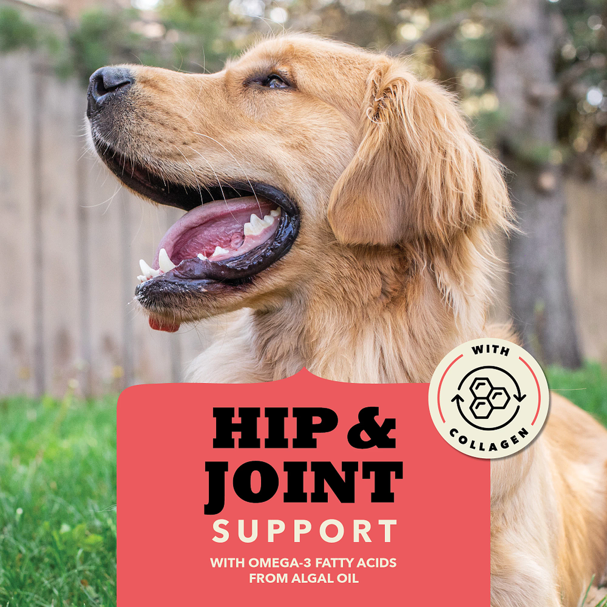 Acana Dog Chewy Strips Hip & Joint Beef