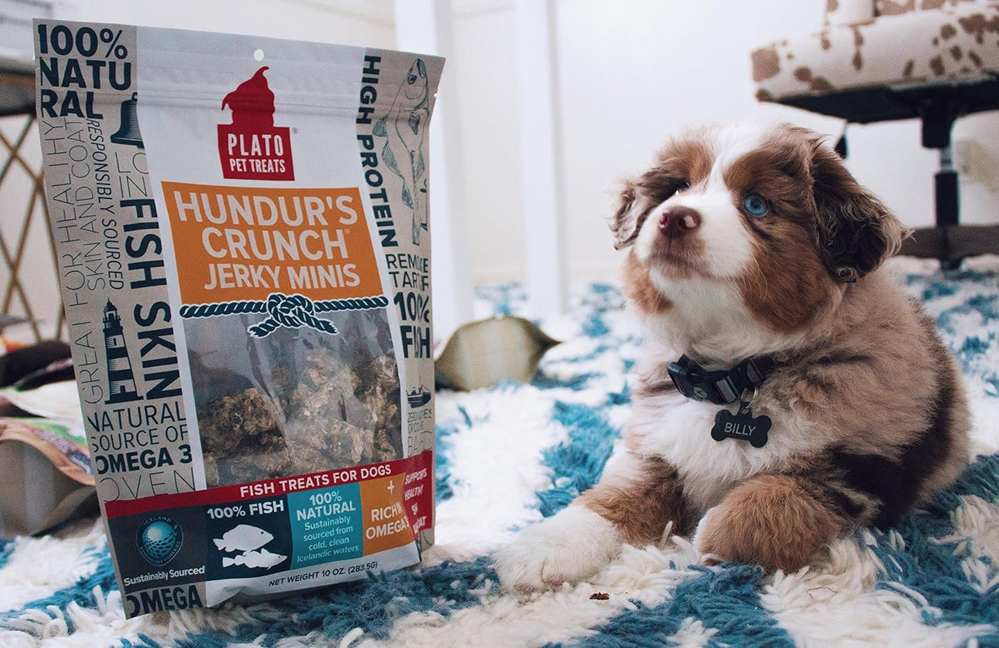 Plato Pet Hundur'S Crunch Jerky Minis Fish Skin