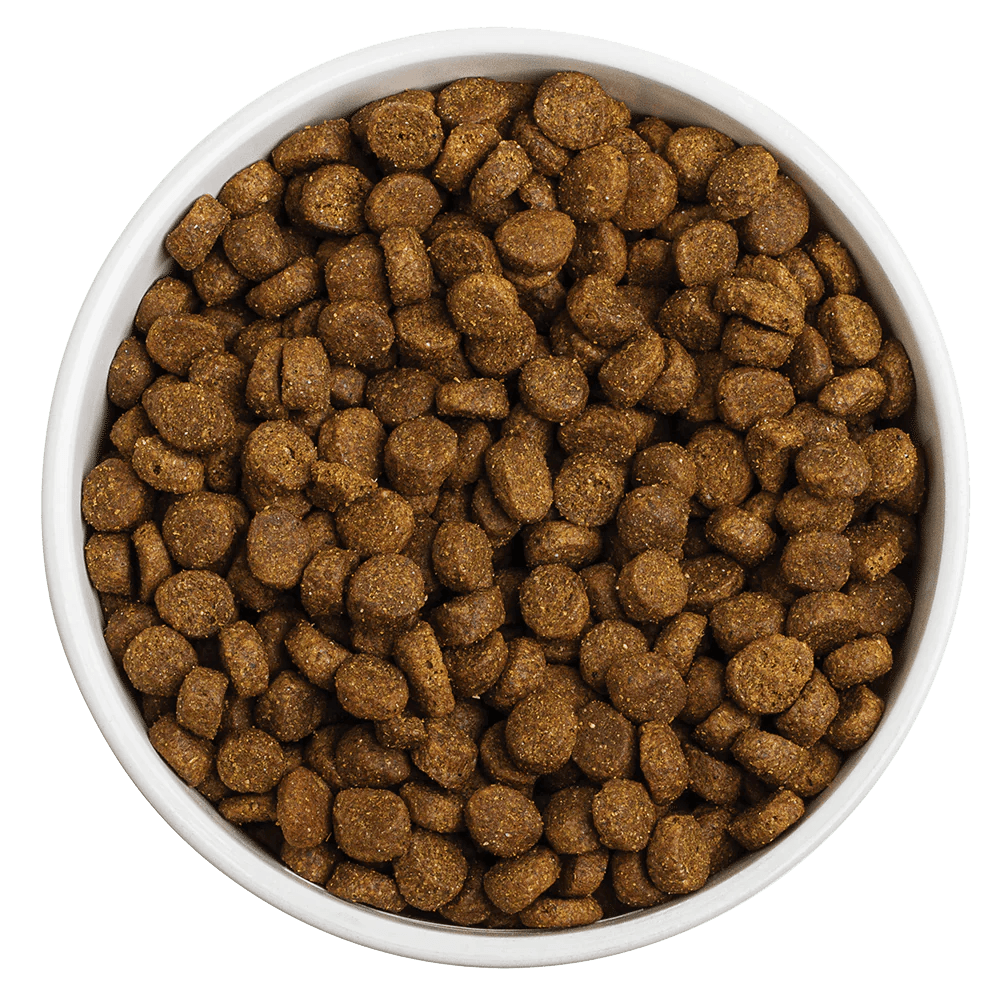 Red Barn Grain-Free Sky Recipe Dog Food - 1.8 kg - Dog Food - Red Barn Pet Products - PetMax Canada