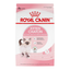 Max Value Pack: Royal Canin Kitten Wet and Dry Food