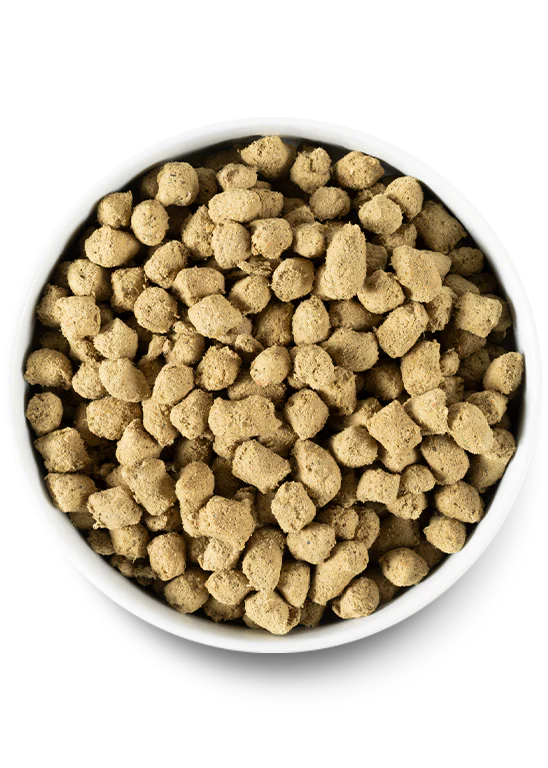 Open Farm Dog Freeze Dried Raw Puppy Chicken & Salmon