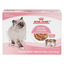 Max Value Pack: Royal Canin Kitten Wet and Dry Food