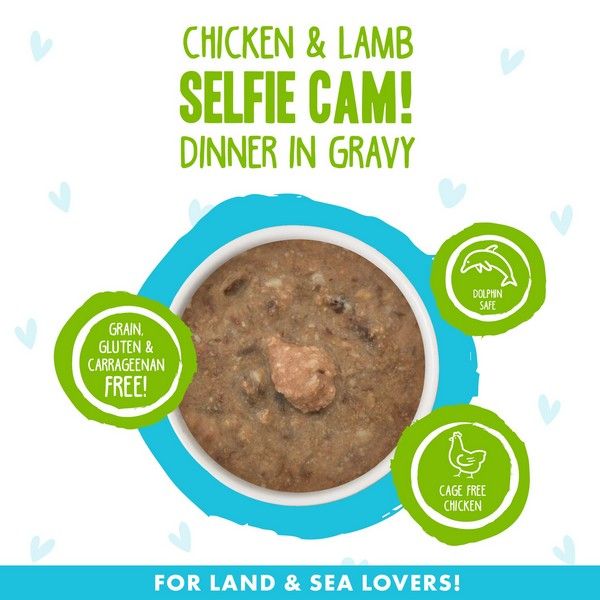 Weruva Wet Cat Food BFF Omg Selfie Cam! Chicken & Lamb Dinner in Gravy