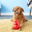 Kong Wobbler Dog Toy