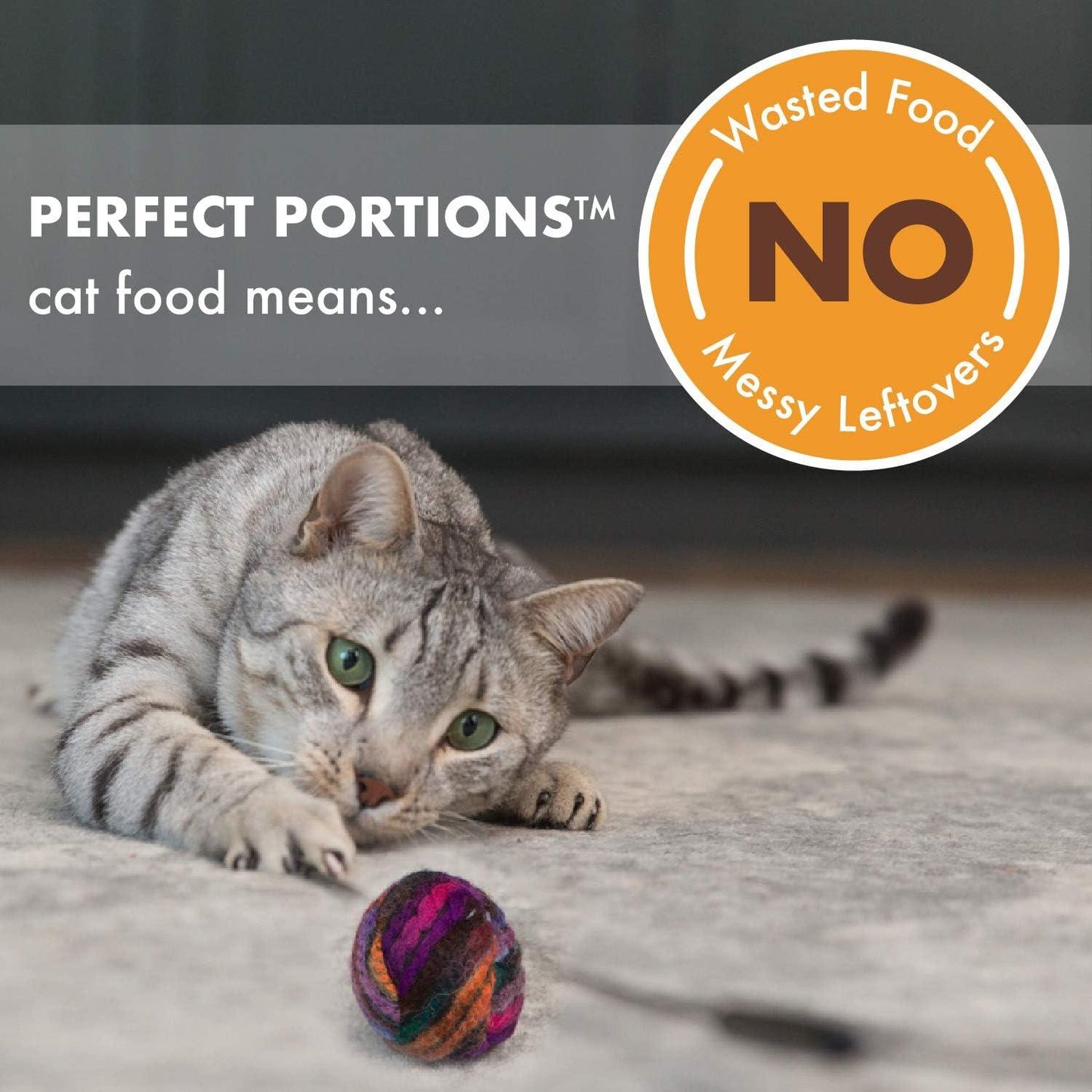 Nutro Perfect Portions Adult Wet Cat Food Grain Free Chicken Paté Entrées - 75g - Canned Cat Food - Nutro - PetMax Canada