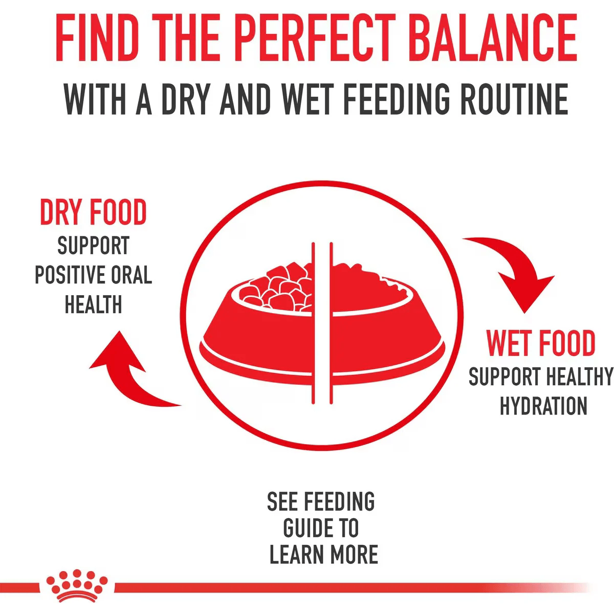 Royal Canin Canned Kitten Food Instinctive Thin Slices In Gravy - 85g - Canned Cat Food - Royal Canin - PetMax Canada