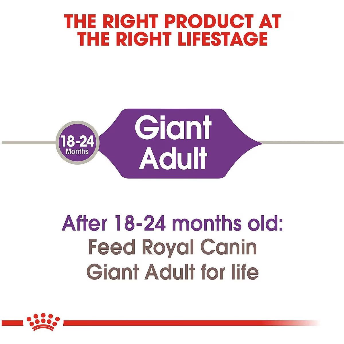 Giant breed royal canin best sale