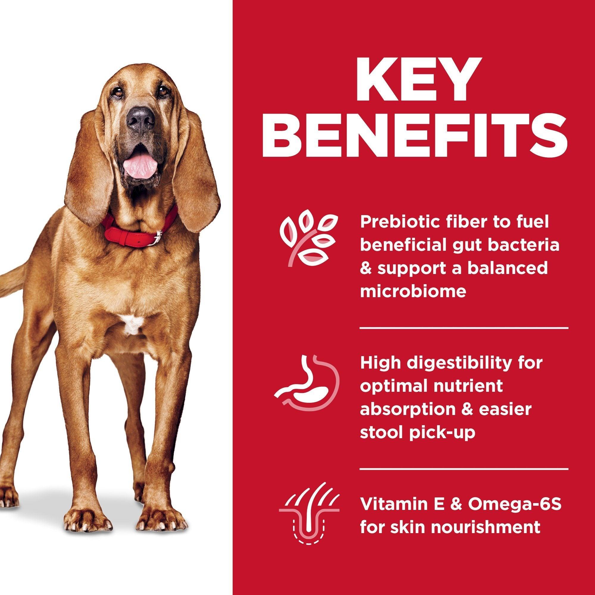 Dog food for sensitive digestive clearance systems