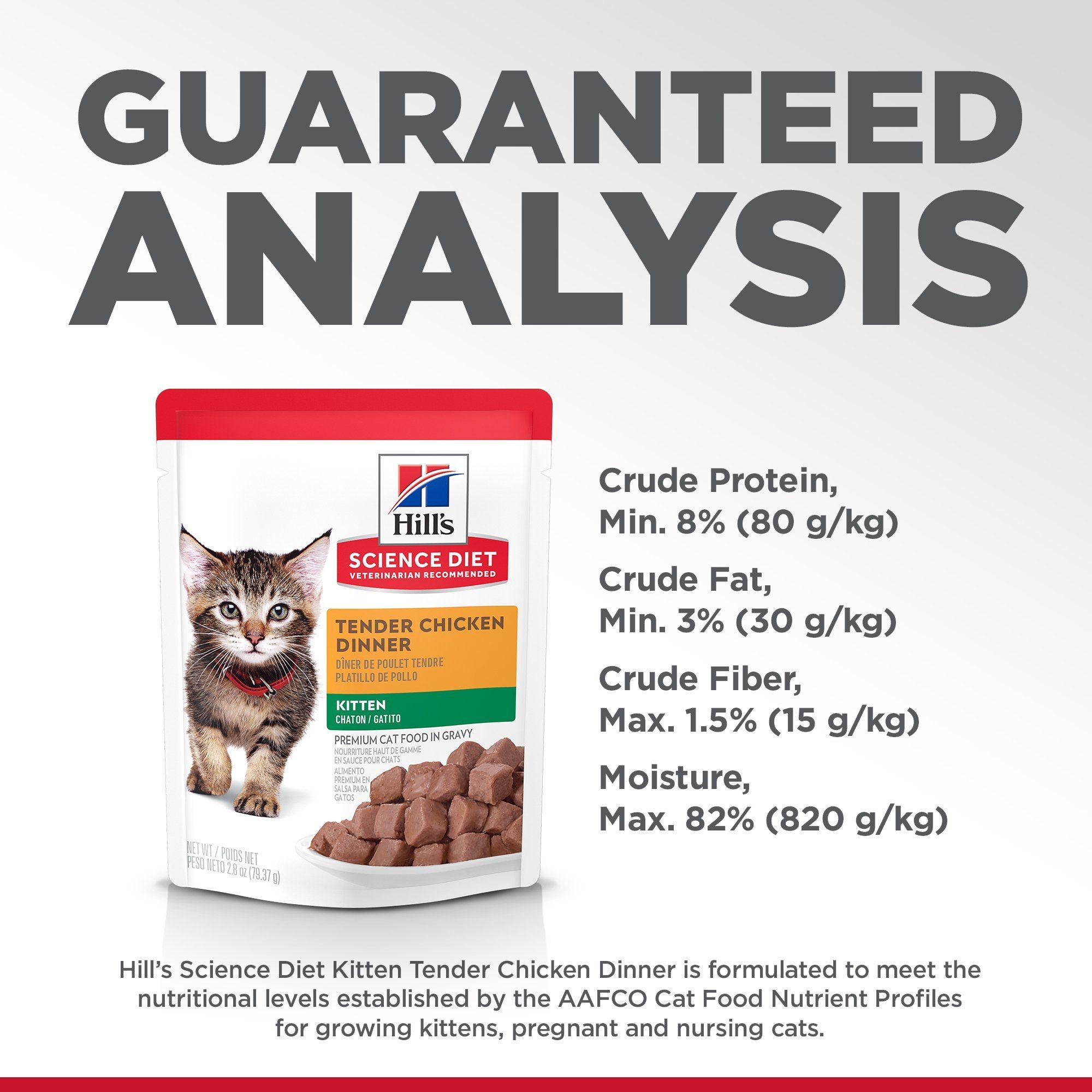 Hills cat outlet food kitten