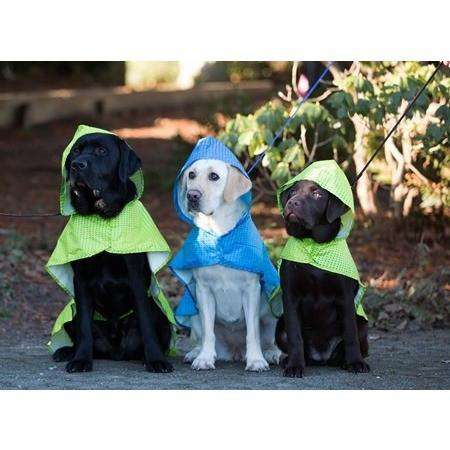 Rc pet products packable dog best sale rain poncho