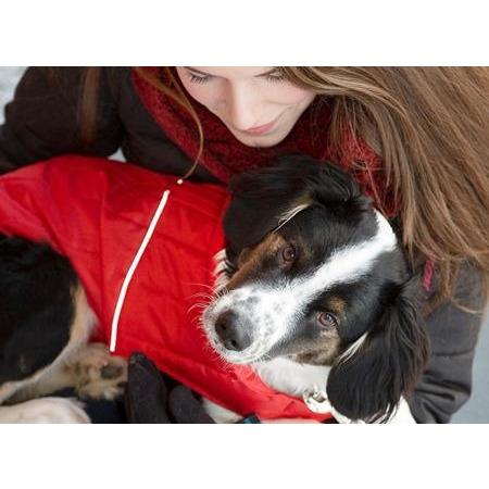 RC Dog Clothing Stratus Puffer Jacket Red PetMax