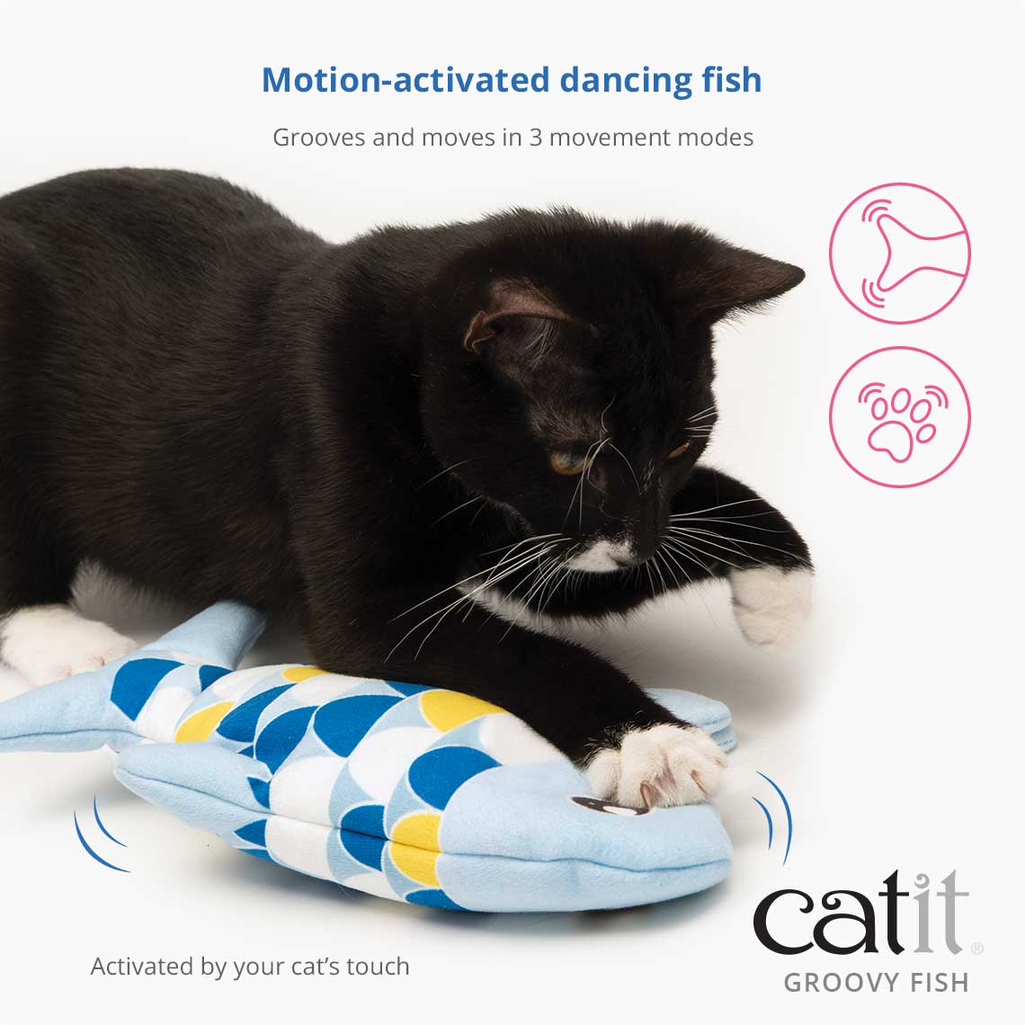 PETGRAVITY - Jouet Interactif Dancing Fish pour Chat - Paddock Animal
