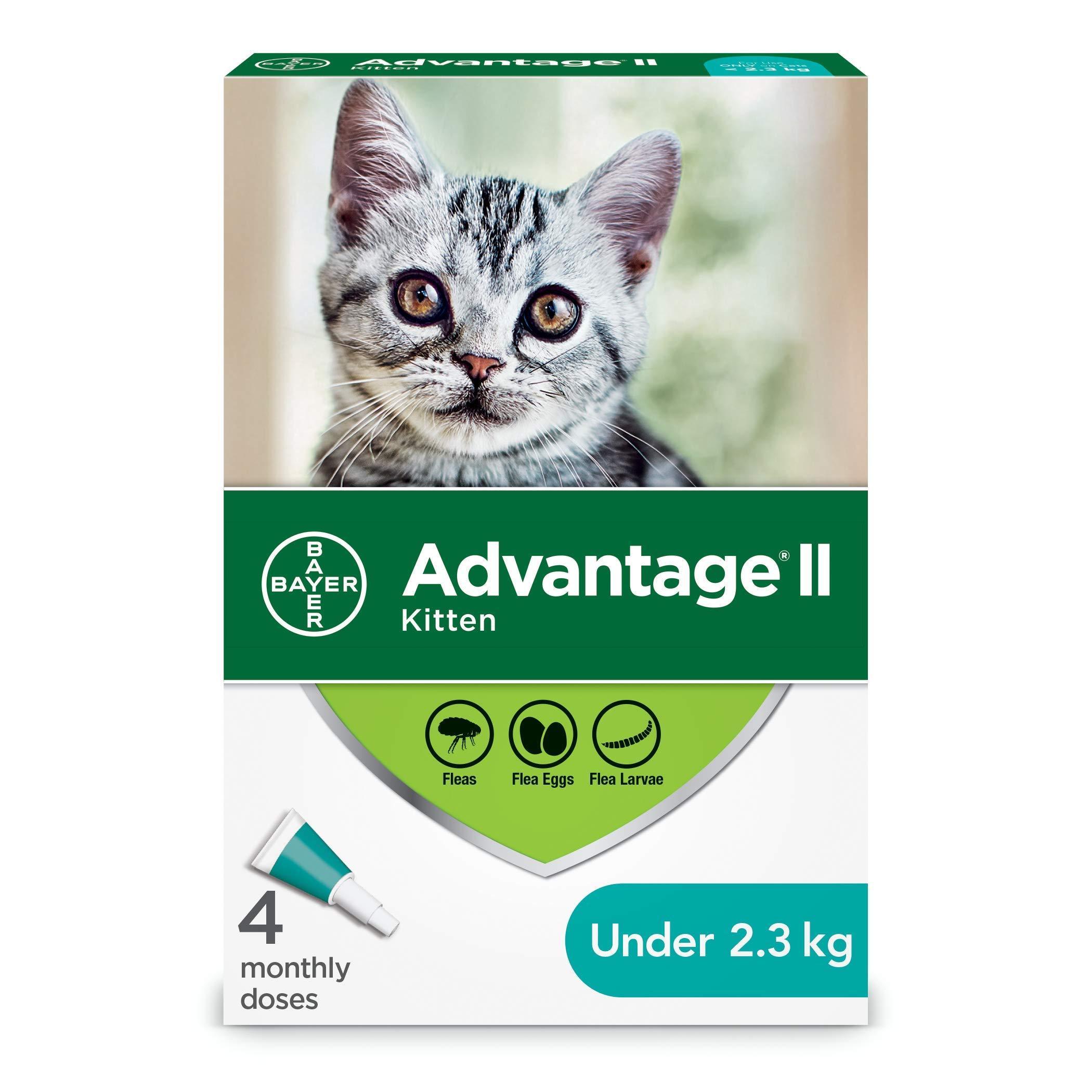 Advantage ii for cats dosage hotsell