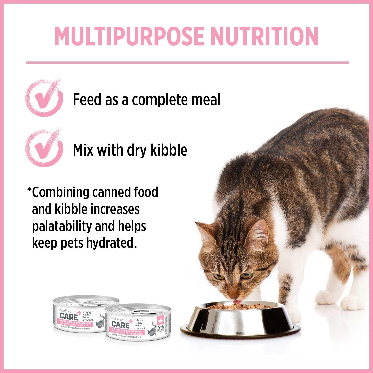 Cat food best sale urinary care