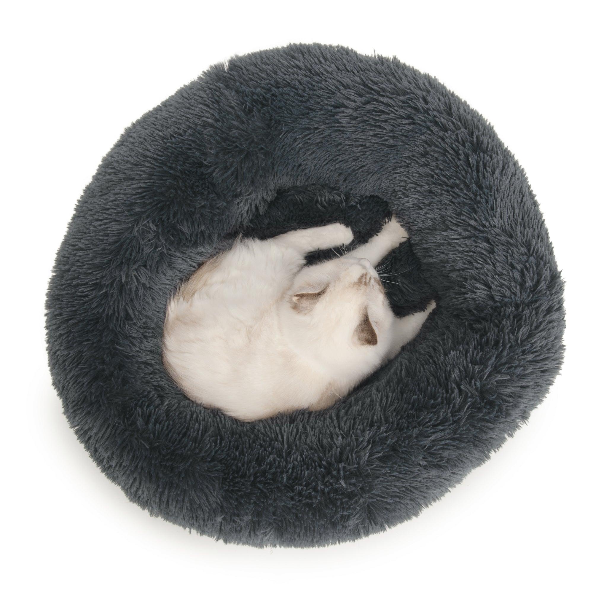 Cat store beds canada