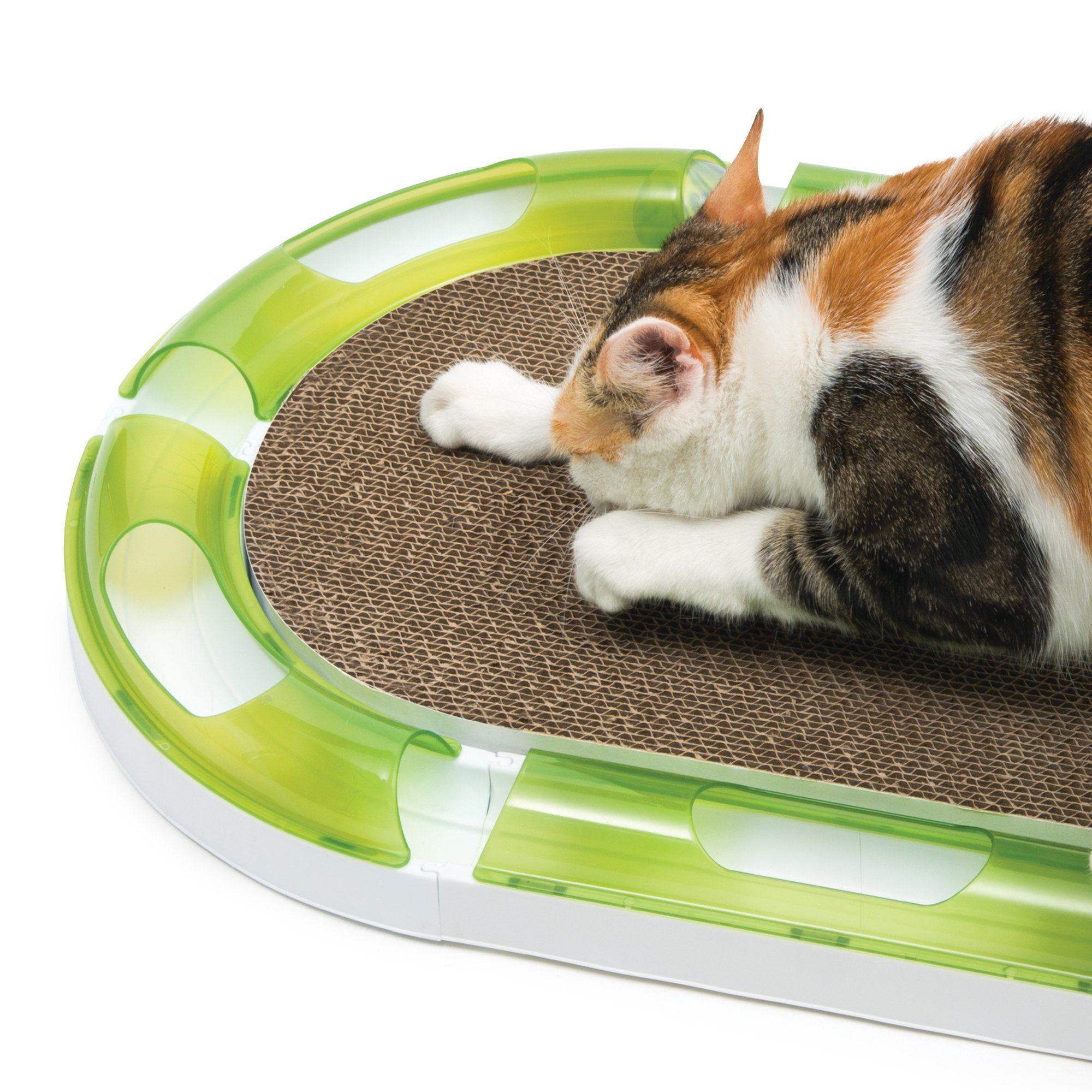 Oval cat scratcher sale