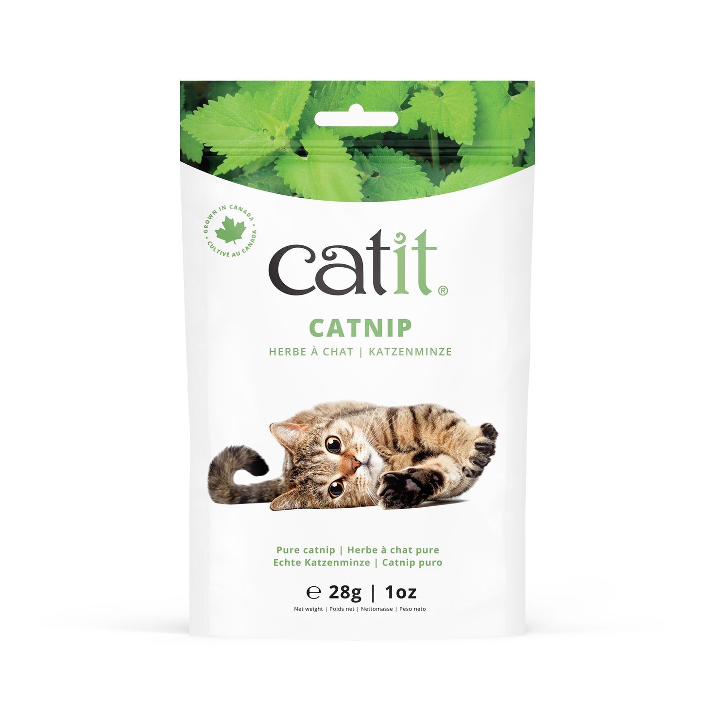Vaporisateur d'herbe à chat Catit 2.0 – PetMax