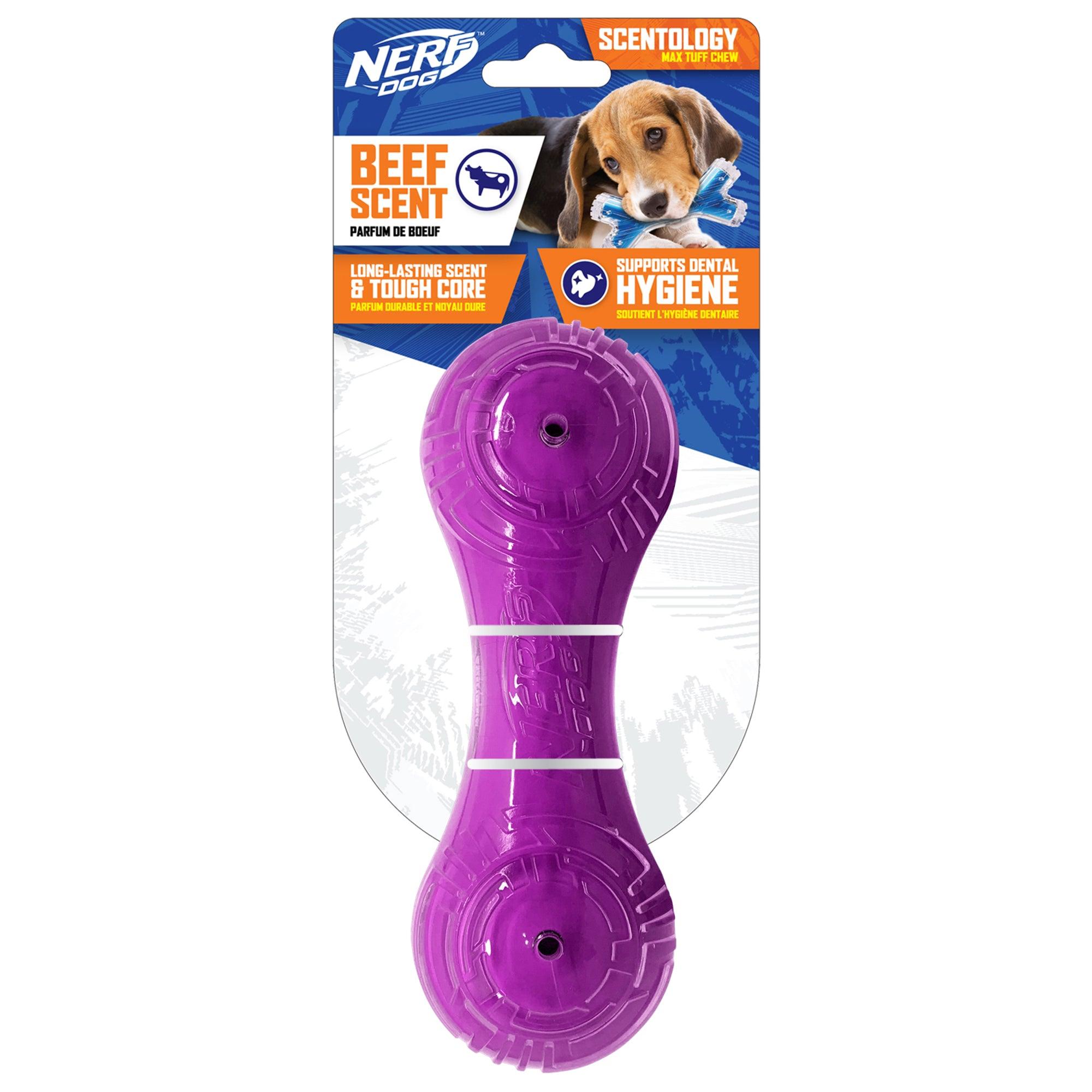 Nerf Scentology Jouet pour chien Barre parfum e au b uf PetMax