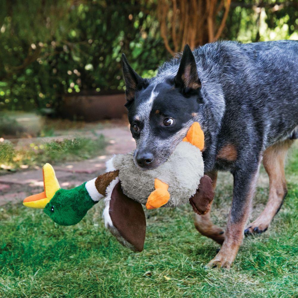 Kong 2025 duck toy