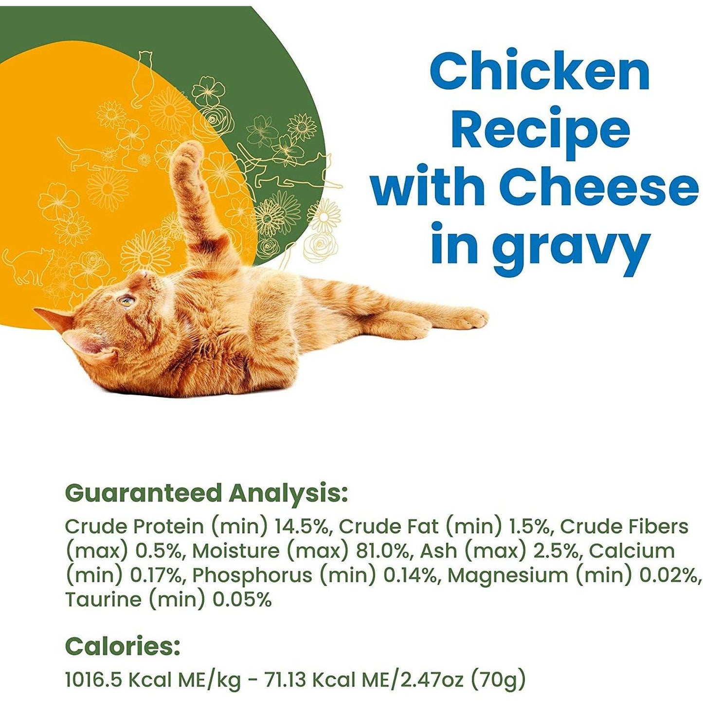 Almo Nature Complete Chicken With Cheese - 70g - Canned Cat Food - Almo Nature - PetMax Canada